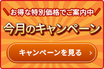 お得なキャンペーン